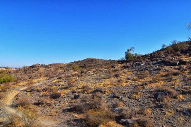 South Mountain Park ve Preserve 'den Phoenix Şehir Merkezi, Pima Canyon Hiking Patikası, Phoenix, Güney Arizona Çölü. Birleşik Devletler.