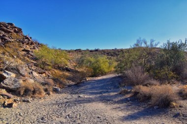 South Mountain Park ve Preserve 'den Phoenix Şehir Merkezi, Pima Canyon Hiking Patikası, Phoenix, Güney Arizona Çölü. Birleşik Devletler.