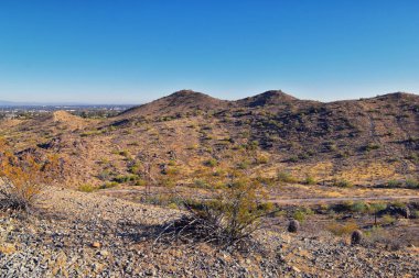 South Mountain Park ve Preserve 'den Phoenix Şehir Merkezi, Pima Canyon Hiking Patikası, Phoenix, Güney Arizona Çölü. Birleşik Devletler.