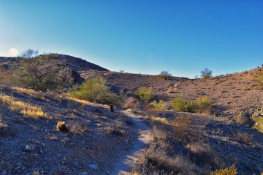 South Mountain Park ve Preserve 'den Phoenix Şehir Merkezi, Pima Canyon Hiking Patikası, Phoenix, Güney Arizona Çölü. Birleşik Devletler.
