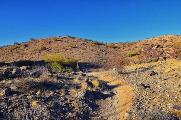 Phoenix Downtown South Mountain Park Preserve Pima Canyon Hiking Trail — стокове фото