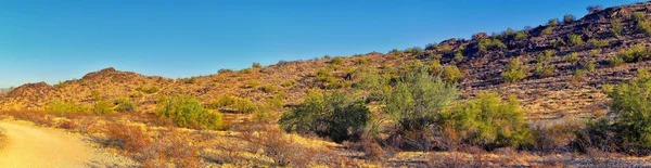 Phoenix Belvárosában South Mountain Park Rezervátum Pima Canyon Túraútvonal Phoenix — Stock Fotó