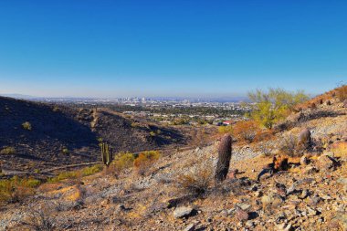 Güney Dağ Parkı ve Güney Arizona Çölü 'ndeki Pima Canyon Hiking Patikası' nın manzaraları. Birleşik Devletler.
