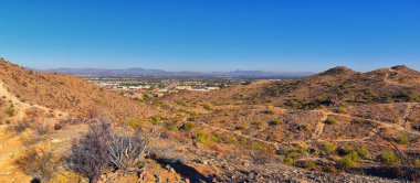 Güney Dağ Parkı ve Güney Arizona Çölü 'ndeki Pima Canyon Hiking Patikası' nın manzaraları. Birleşik Devletler.