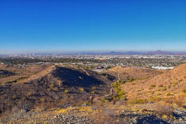 Güney Dağ Parkı ve Güney Arizona Çölü 'ndeki Pima Canyon Hiking Patikası' nın manzaraları. Birleşik Devletler.