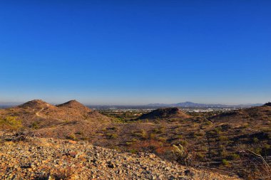 Güney Dağ Parkı ve Güney Arizona Çölü 'ndeki Pima Canyon Hiking Patikası' nın manzaraları. Birleşik Devletler.