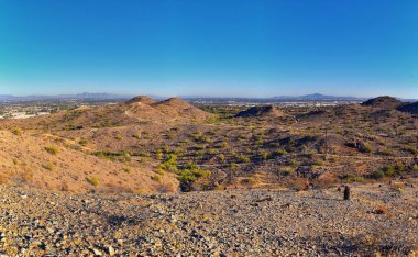 Güney Dağ Parkı ve Güney Arizona Çölü 'ndeki Pima Canyon Hiking Patikası' nın manzaraları. Birleşik Devletler.