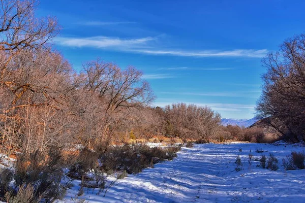 Winterschnee Bergwanderweg Mit Blick Auf Den Yellow Fork Canyon County — Stockfoto