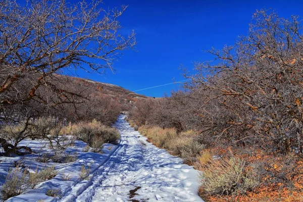 Winter Snow Mountain Hiking Trail Views Yellow Fork Canyon County — Stock Photo, Image