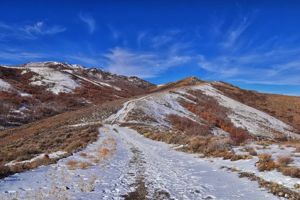 Zima Śnieg Góry Szlak Turystyczny Widoki Żółty Widelec Canyon County — Zdjęcie stockowe