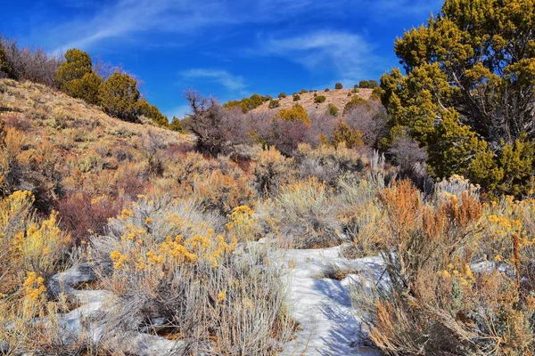 Winterschnee Bergwanderweg Mit Blick Auf Den Yellow Fork Canyon County — Stockfoto