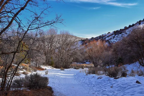 冬の雪の山ハイキングトレイルビューイエローフォークキャニオン郡公園ローズキャニオンリオティントビンガム銅鉱山 ユタ州ソルトレイクシティ アメリカ合衆国 — ストック写真