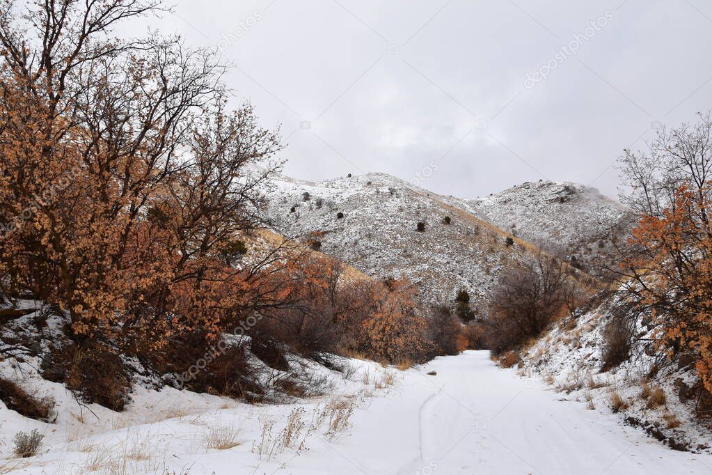 Snowy Hiking Trail views towards Lake Mountains Peak via Israel Canyon road towards Radio Towers in winter, Utah Lake, Wasatch Front Rocky Mountains, Provo, United States.