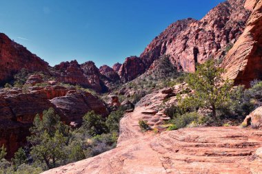 Saddleback Tuacahn çölü yürüyüş yolu manzarası, Padre Canyon, Cliffs Ulusal Koruma Alanı Vahşi Doğa, Kar Kanyonu Eyalet Parkı St George, Utah, ABD. ABD.