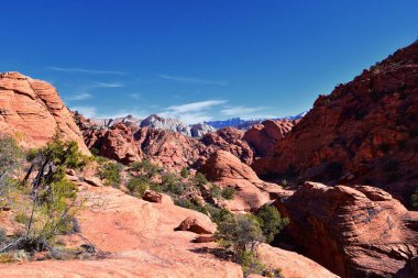 Saddleback Tuacahn çölü yürüyüş yolu manzarası, Padre Canyon, Cliffs Ulusal Koruma Alanı Vahşi Doğa, Kar Kanyonu Eyalet Parkı St George, Utah, ABD. ABD.