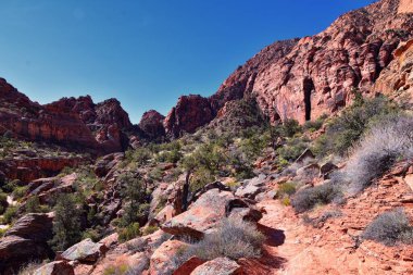 Saddleback Tuacahn çölü yürüyüş yolu manzarası, Padre Canyon, Cliffs Ulusal Koruma Alanı Vahşi Doğa, Kar Kanyonu Eyalet Parkı St George, Utah, ABD. ABD.