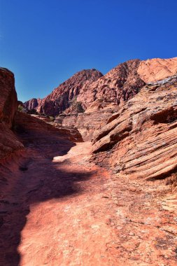 Saddleback Tuacahn çölü yürüyüş yolu manzarası, Padre Canyon, Cliffs Ulusal Koruma Alanı Vahşi Doğa, Kar Kanyonu Eyalet Parkı St George, Utah, ABD. ABD.