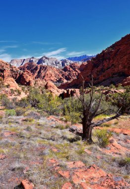 Saddleback Tuacahn çölü yürüyüş yolu manzarası, Padre Canyon, Cliffs Ulusal Koruma Alanı Vahşi Doğa, Kar Kanyonu Eyalet Parkı St George, Utah, ABD. ABD.