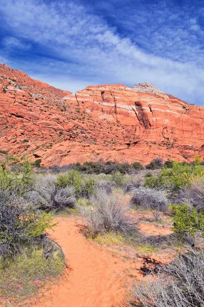 Saddleback Tuacahn Öken Vandringsled Utsikt Padre Canyon Cliffs National Conservation — Stockfoto