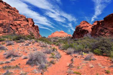 Saddleback Tuacahn çölü yürüyüş yolu manzarası, Padre Canyon, Cliffs Ulusal Koruma Alanı Vahşi Doğa, Kar Kanyonu Eyalet Parkı St George, Utah, ABD. ABD.