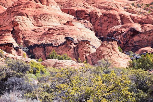 Padre Canyon Snow Canyon State Park Saddleback Tuacahn Pouštní Turistická — Stock fotografie