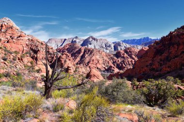 Padre Canyon, Kar Kanyonu Eyalet Parkı, Saddleback Tuacahn Çölü manzara yürüyüşü, Cliffs Ulusal Koruma Alanı Vahşi Doğası, St George, Utah, ABD. ABD.