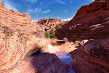 Padre Canyon, Kar Kanyonu Eyalet Parkı, Saddleback Tuacahn Çölü manzara yürüyüşü, Cliffs Ulusal Koruma Alanı Vahşi Doğası, St George, Utah, ABD. ABD.