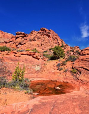 Padre Canyon, Kar Kanyonu Eyalet Parkı, Saddleback Tuacahn Çölü manzara yürüyüşü, Cliffs Ulusal Koruma Alanı Vahşi Doğası, St George, Utah, ABD. ABD.