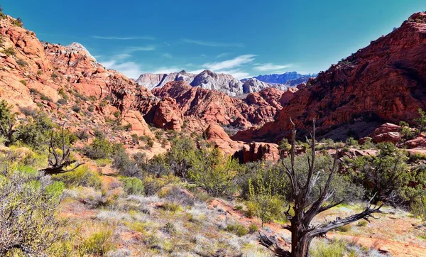 Padre Canyon Snow Canyon State Park Saddleback Tuacahn Desertハイキングトレイルの風景パノラマビュー Cliff — ストック写真