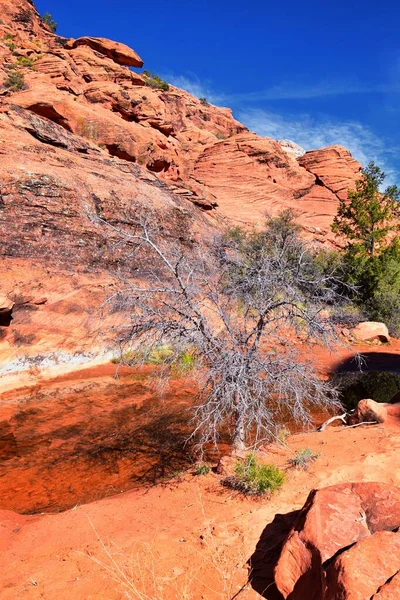 Padre Canyon, Kar Kanyonu Eyalet Parkı, Saddleback Tuacahn Çölü manzara yürüyüşü, Cliffs Ulusal Koruma Alanı Vahşi Doğası, St George, Utah, ABD. ABD.