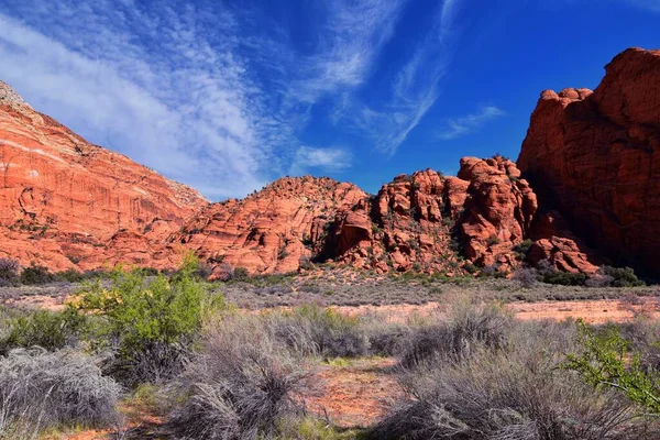 Padre Canyon, Kar Kanyonu Eyalet Parkı, Saddleback Tuacahn Çölü manzara yürüyüşü, Cliffs Ulusal Koruma Alanı Vahşi Doğası, St George, Utah, ABD. ABD.