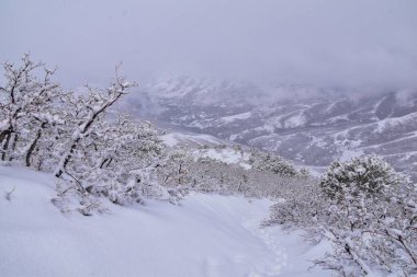 Küçük Black Mountain Peak yürüyüş yolu manzarası Salt Lake City, Bonneville Sahil Yolu üzerinden kar manzarası, Wasatch Front Rocky Dağları, Utah. Birleşik Devletler.