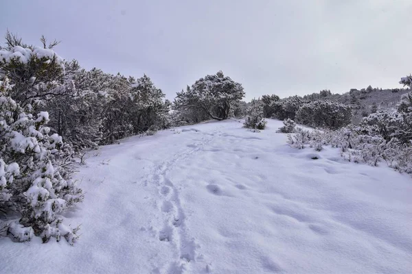 Little Black Mountain Peak Vue Sur Sentier Randonnée Par Salt — Photo