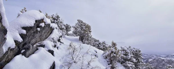 盐湖城的小黑山峰远足小径 冬季雪景中穿过犹他州瓦萨奇前洛基山脉的波纳维尔海岸线小径 — 图库照片