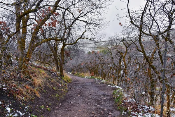 Little Black Mountain Peak Vue Sur Sentier Randonnée Par Salt — Photo