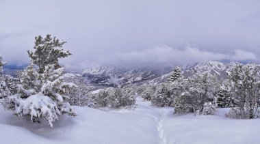 Küçük Black Mountain Peak yürüyüş yolu kar yolu Bonneville Shoreline Patikası üzerinden Salt Lake City, Utah 'taki Wasatch Front Rocky Dağları' na çıkar. Birleşik Devletler.