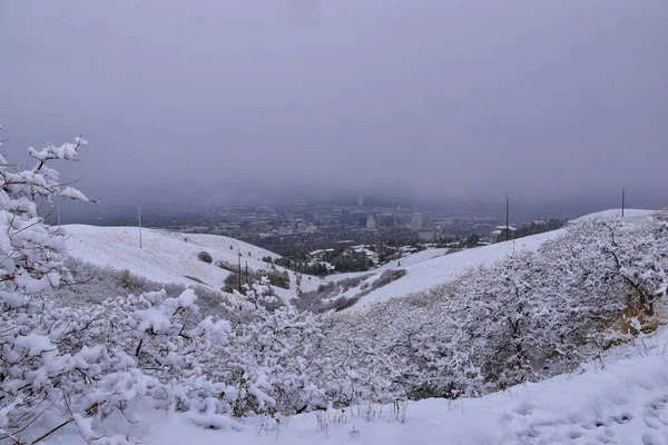 Mała Czarna Góra Szlak Turystyczny Widoki Śniegu Zima Przez Bonneville — Zdjęcie stockowe