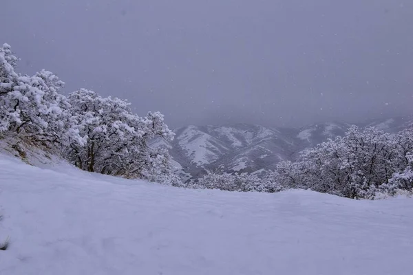 Petit Sentier Randonnée Black Mountain Peak Vue Sur Neige Hiver — Photo