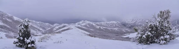 Μικρή Black Mountain Peak Πεζοπορία Μονοπάτι Θέα Στο Χιόνι Χειμώνα — Φωτογραφία Αρχείου
