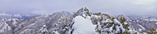 Puncak Gunung Hitam Kecil Mendaki Salju Pemandangan Musim Dingin Melalui — Stok Foto
