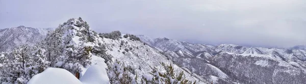 Little Black Mountain Peak Vandringsled Snö Utsikt Vinter Bonneville Shoreline — Stockfoto