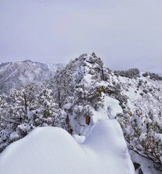 Petit Sentier Randonnée Black Mountain Peak Vue Sur Neige Hiver — Photo