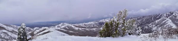 Туристическая Тропа Little Black Mountain Peak Выходит Зиму Тропе Bonneville — стоковое фото