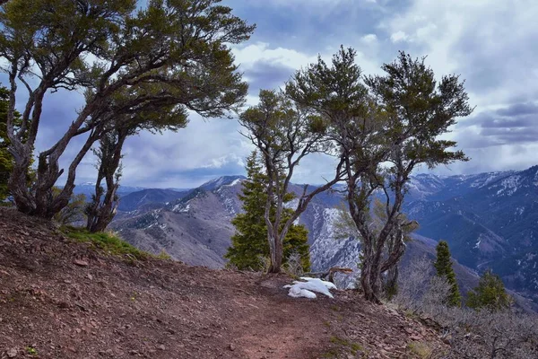 Grandeur Peak Hiking Trail View Весна Назад Навколо Bonneville Shoreline — стокове фото