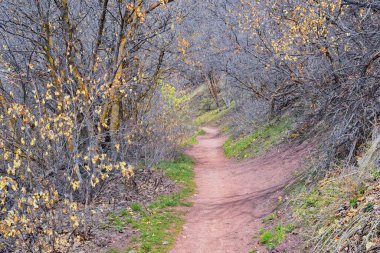 Grandeur Peak yürüyüş parkuru Bonneville Shoreline Boru Hattı, Çıngıraklı Yılan Gulch Yolu, Salt Lake City, Utah 'taki Wasatch Front Rocky Dağları' nın etrafını gösteriyor. Birleşik Devletler. ABD