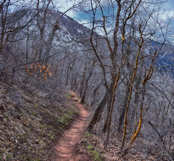 Grandeur Peak Hiking Trail Loop Views Spring Back Bonneville Shoreline — Stock Photo, Image