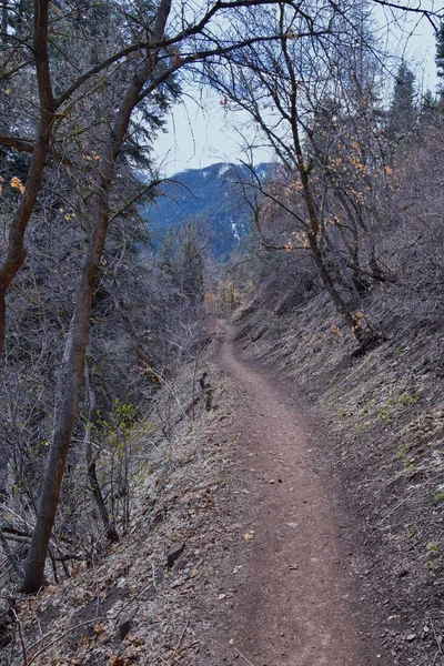 Grandeur Peak Hiking Trail Loop Views Spring Back Bonneville Shoreline — Stock Photo, Image