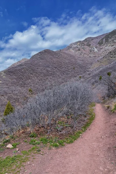 Grandeur Peak Yürüyüş Parkuru Bonneville Shoreline Boru Hattı Çıngıraklı Yılan — Stok fotoğraf