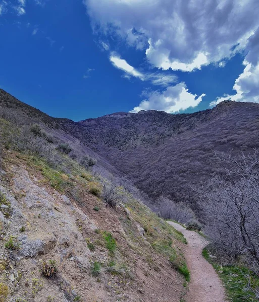 Grandeur Peak Yürüyüş Parkuru Bonneville Shoreline Boru Hattı Çıngıraklı Yılan — Stok fotoğraf