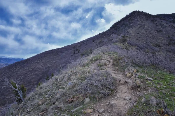 Grandeur Peak Vandringsled Loop View Spring Back Bonneville Shoreline Pipe — Stockfoto